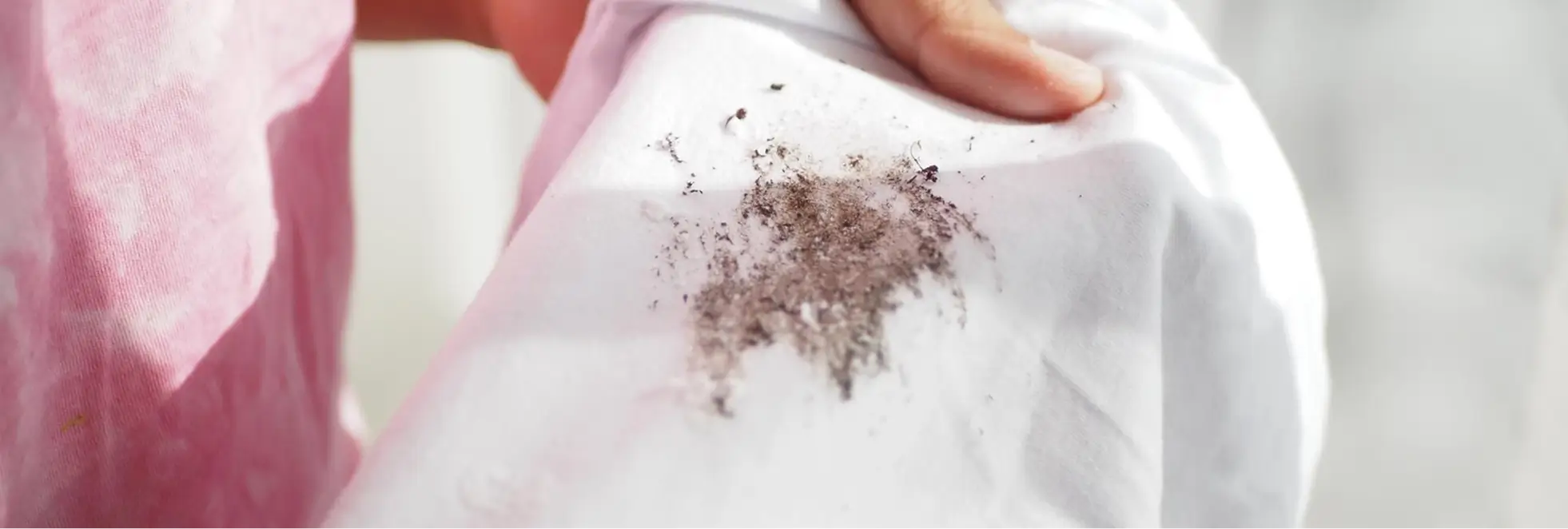 Stain Removal Comparison